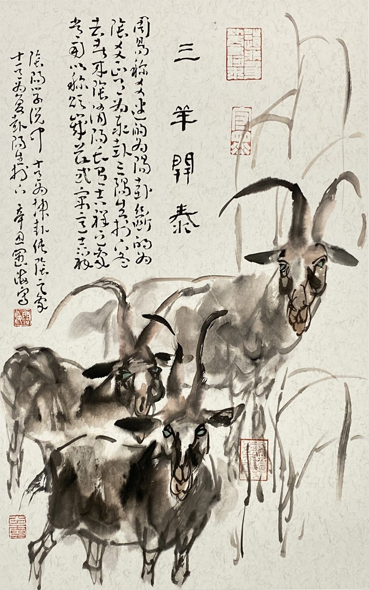 图片30