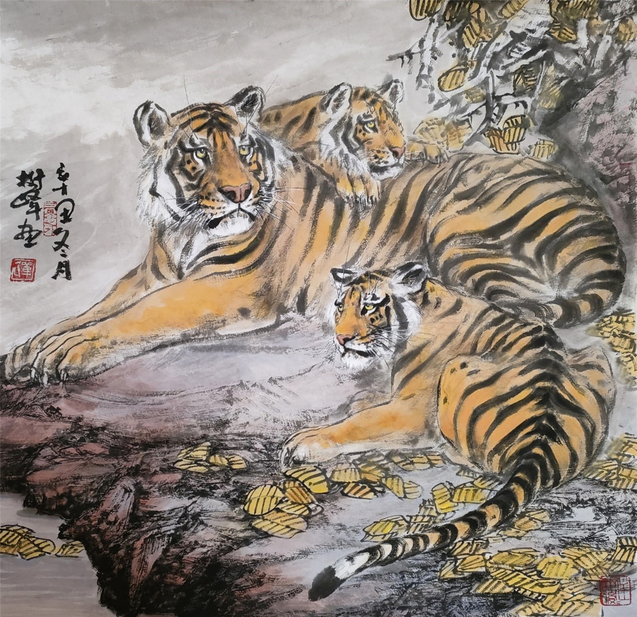图片13