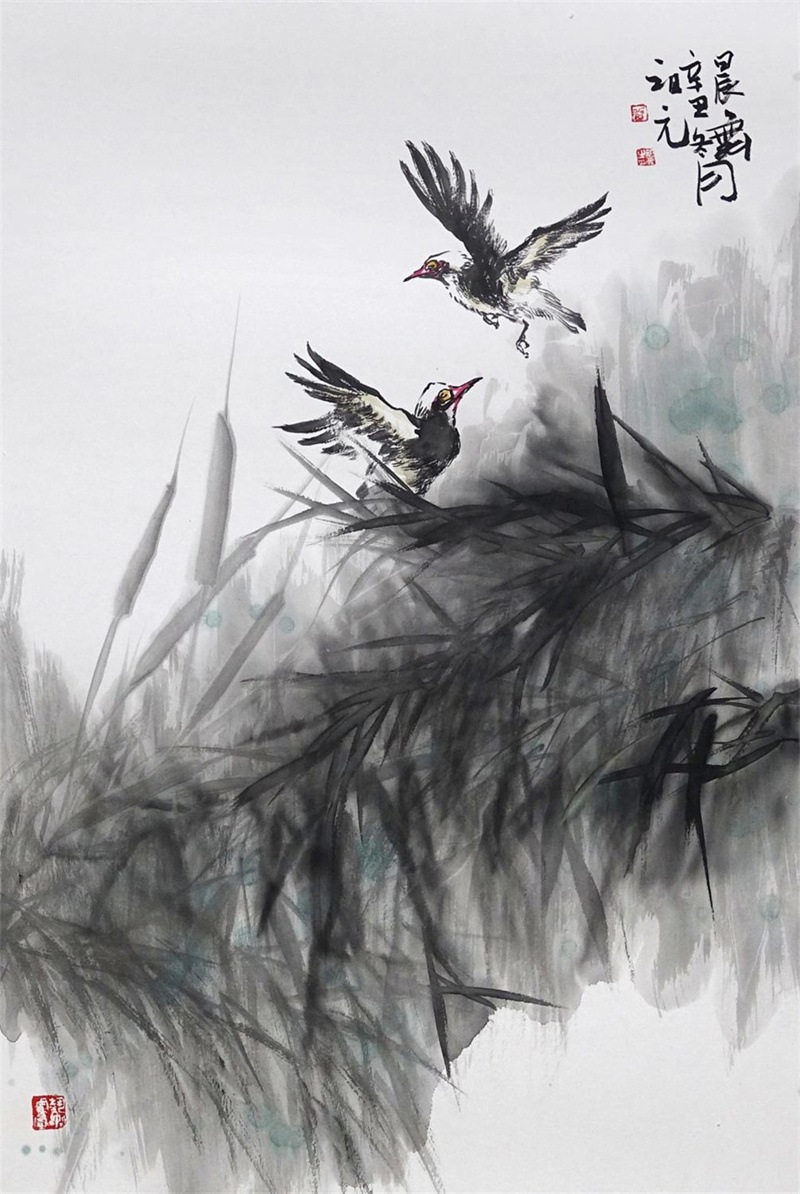 花鸟小品《晨舞》350&times;690